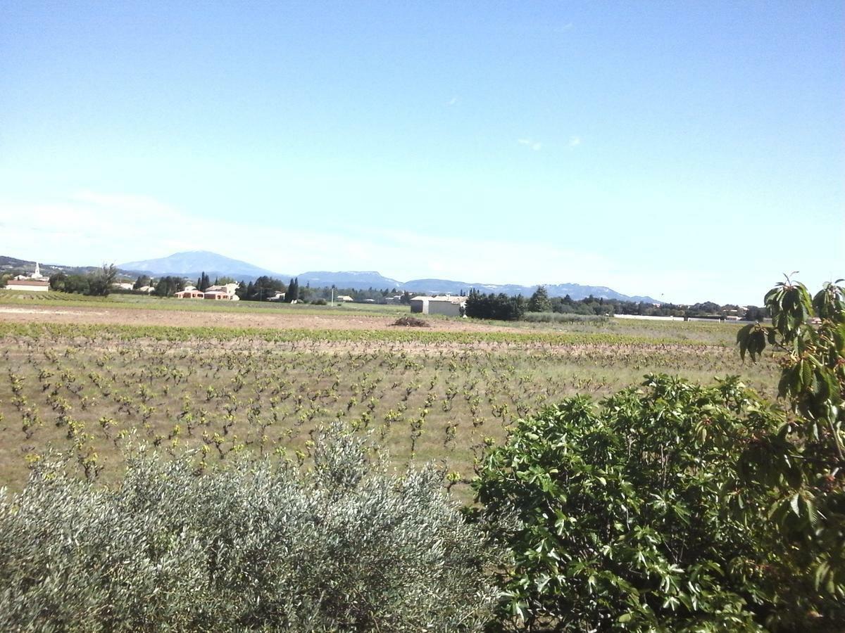 Vents D'Anges Bed & Breakfast Sainte-Cecile-les-Vignes Bagian luar foto
