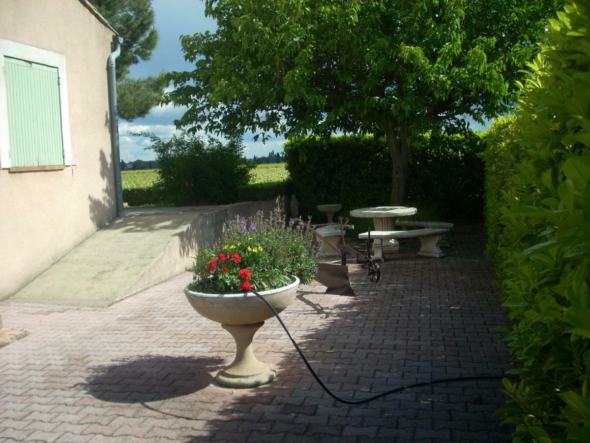 Vents D'Anges Bed & Breakfast Sainte-Cecile-les-Vignes Bagian luar foto